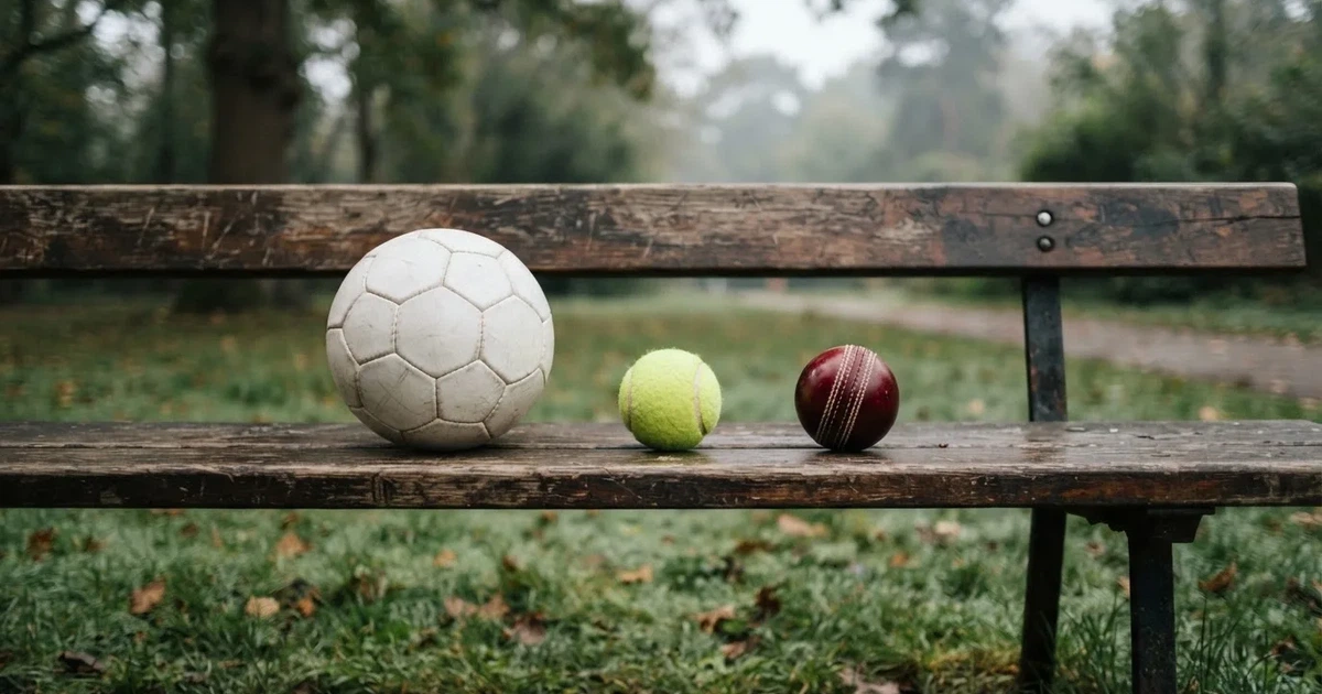 Three balls of different kinds side by side on a wooden bench